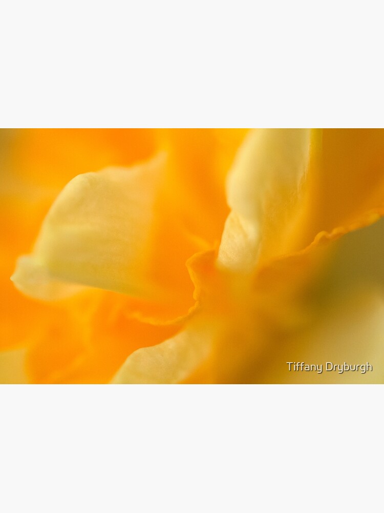 Thumbnail 7 of 7, Framed Art Print, The Colour of Happiness designed and sold by Tiffany Dryburgh.