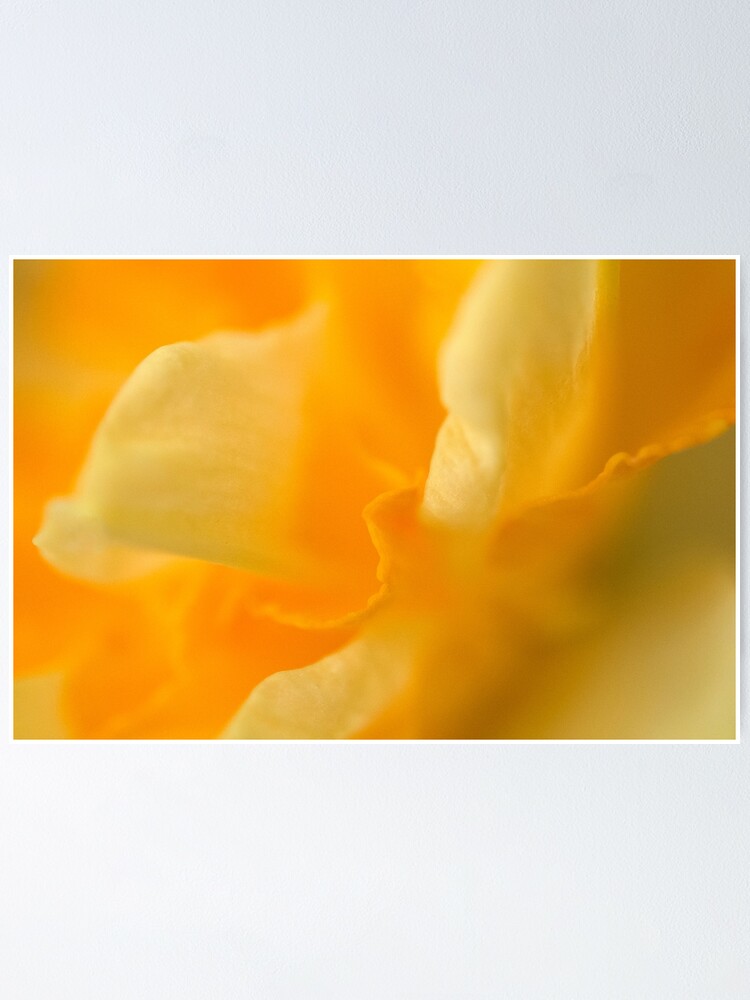 Thumbnail 2 of 3, Poster, The Colour of Happiness designed and sold by Tiffany Dryburgh.