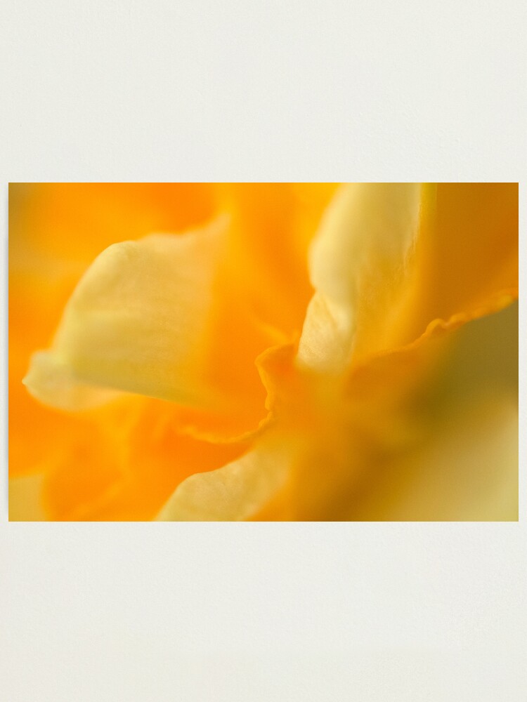 Thumbnail 2 of 3, Photographic Print, The Colour of Happiness designed and sold by Tiffany Dryburgh.