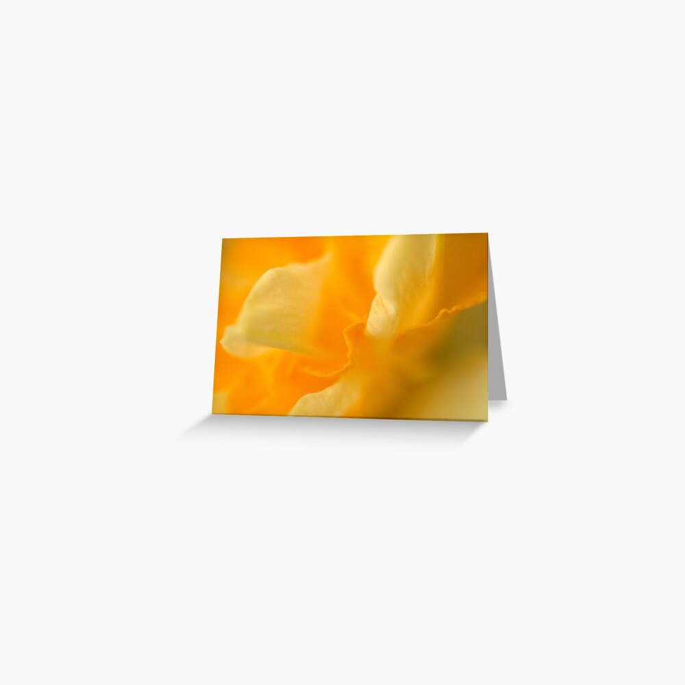 Item preview, Greeting Card designed and sold by Tiffany.