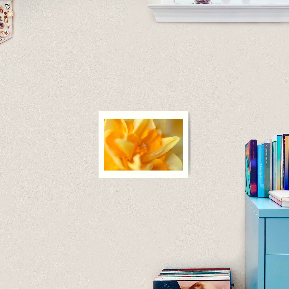 Double Daffodil Art Print
