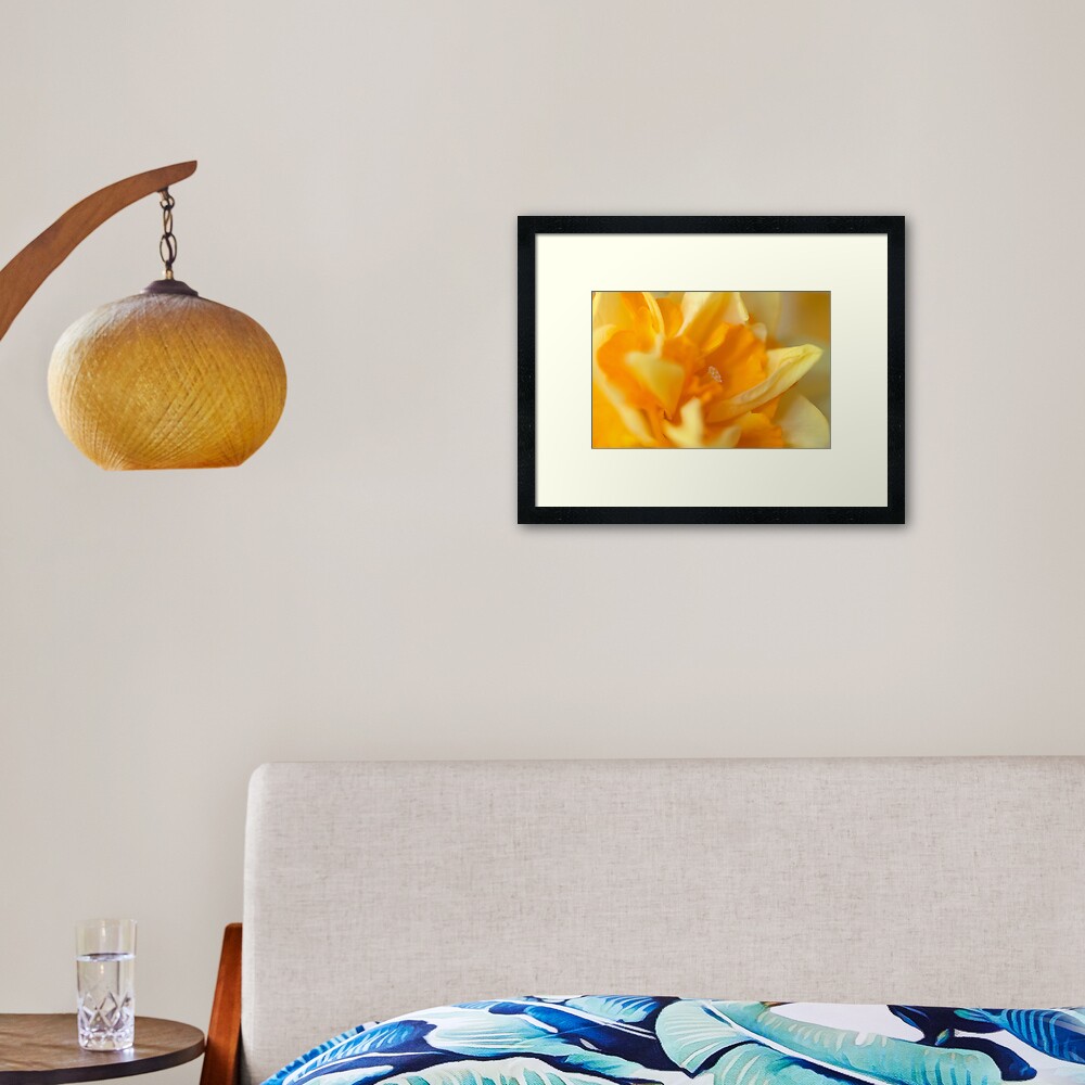 Double Daffodil Framed Art Print