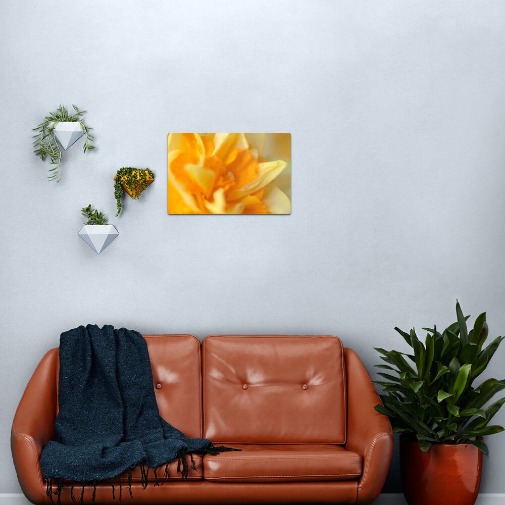 Double Daffodil Metal Print
