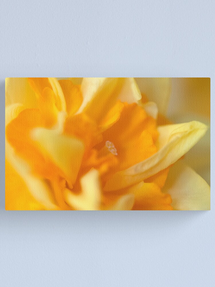 Alternate view of Double Daffodil Canvas Print