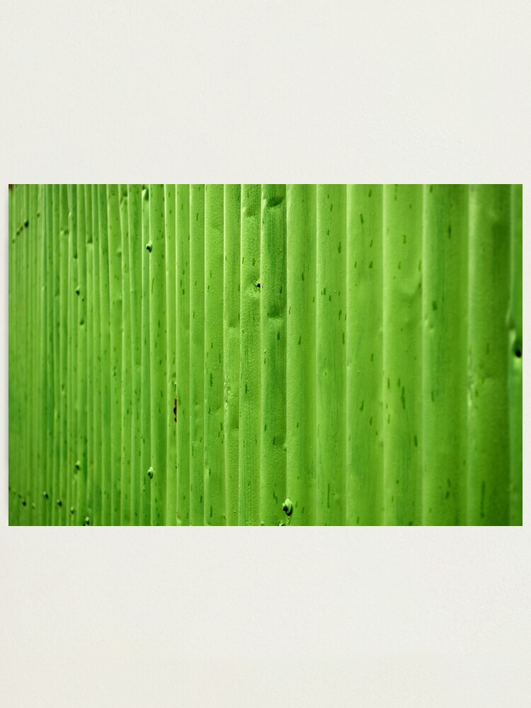 Alternate view of Green Ripples Photographic Print
