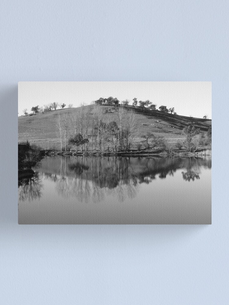 Thumbnail 2 of 3, Canvas Print, Allan's Flat, Victoria designed and sold by Tiffany Dryburgh.