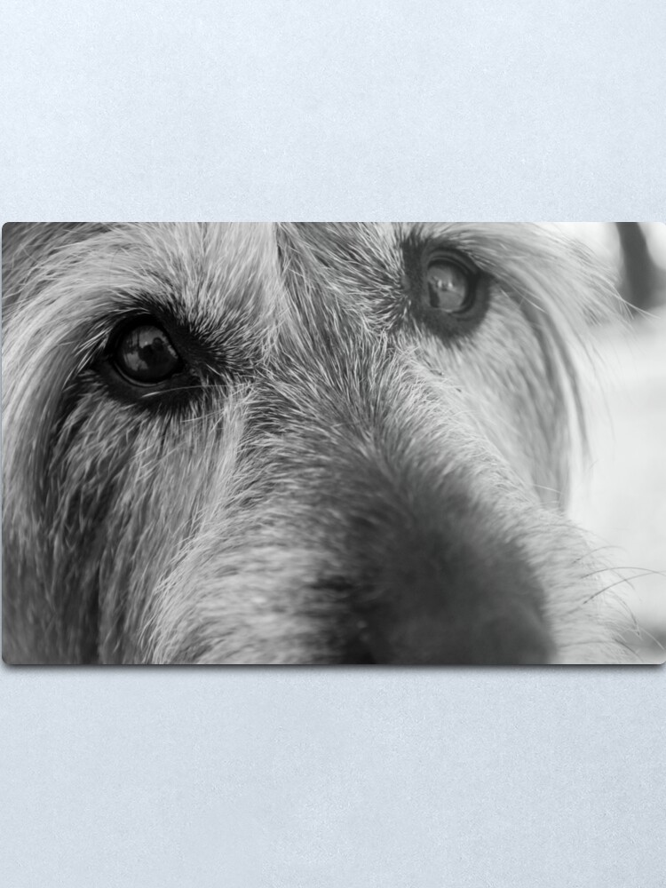 Alternate view of Thoughtful Metal Print