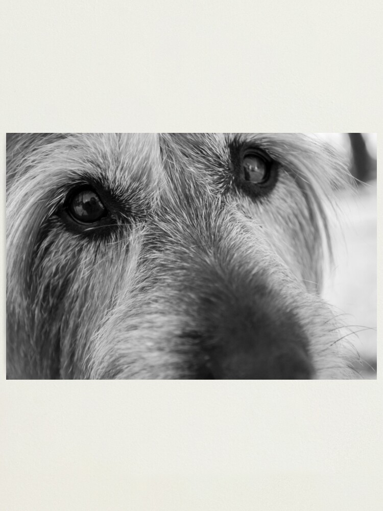 Alternate view of Thoughtful Photographic Print