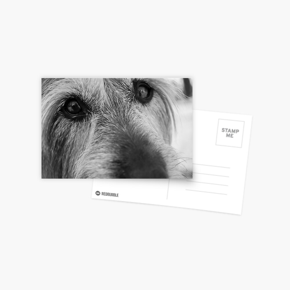 Item preview, Postcard designed and sold by Tiffany.