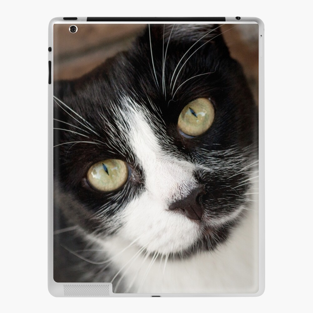 Item preview, iPad Skin designed and sold by Tiffany.