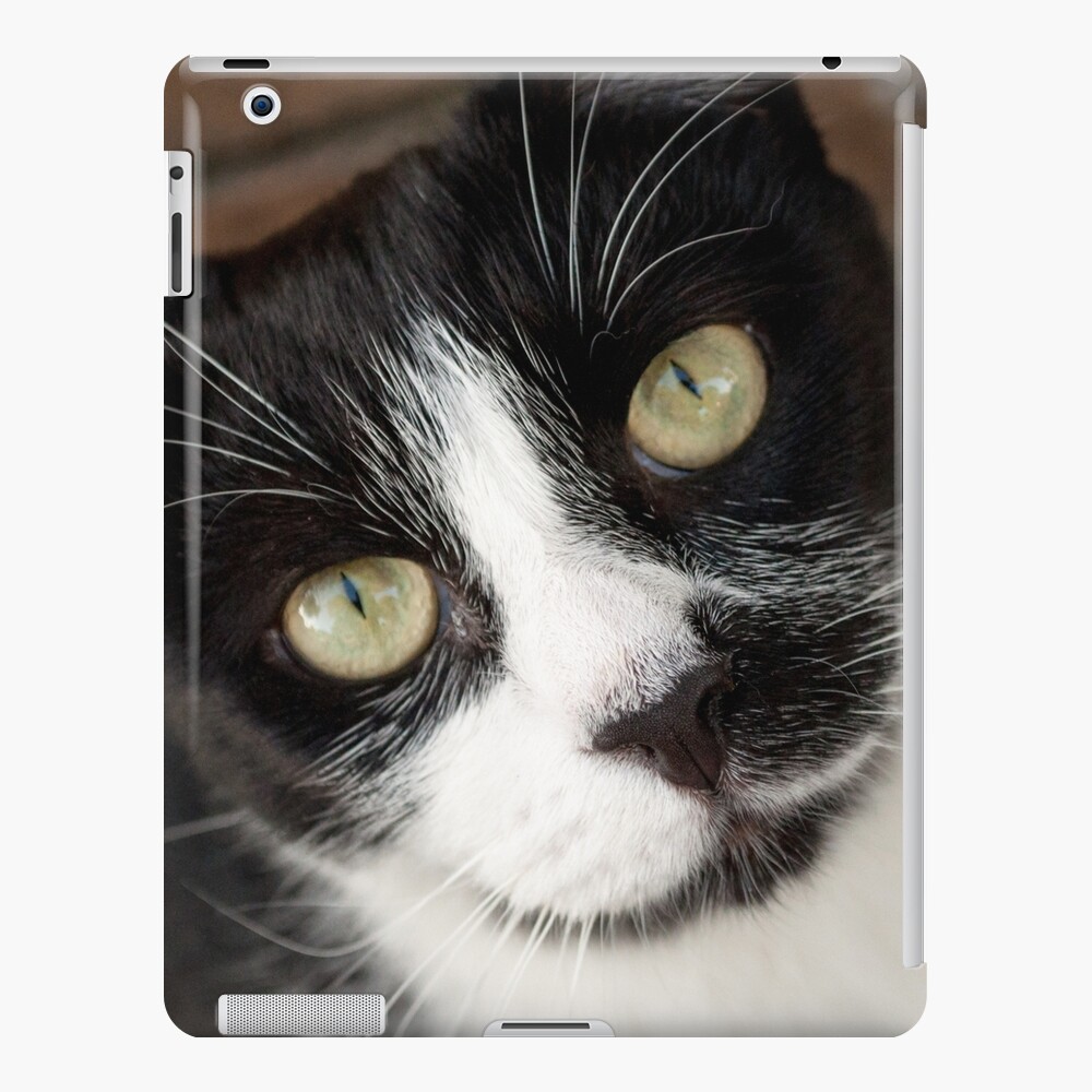 Item preview, iPad Snap Case designed and sold by Tiffany.