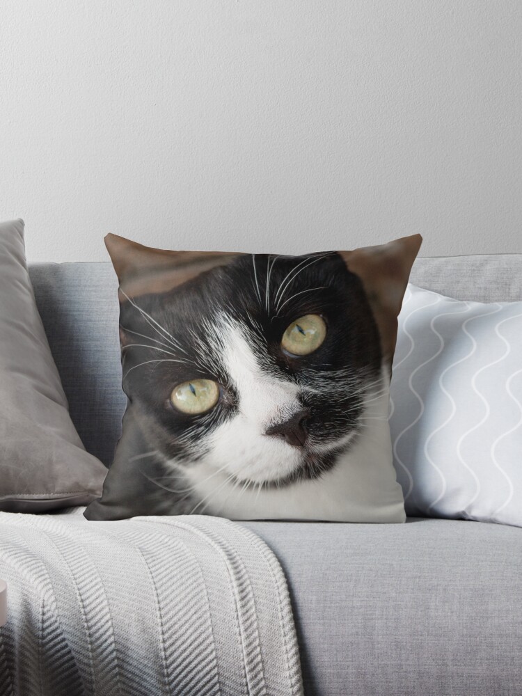 Thumbnail 1 of 3, Throw Pillow, He Knows designed and sold by Tiffany Dryburgh.