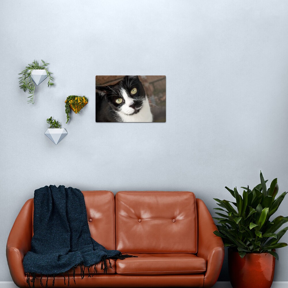 He Knows Metal Print