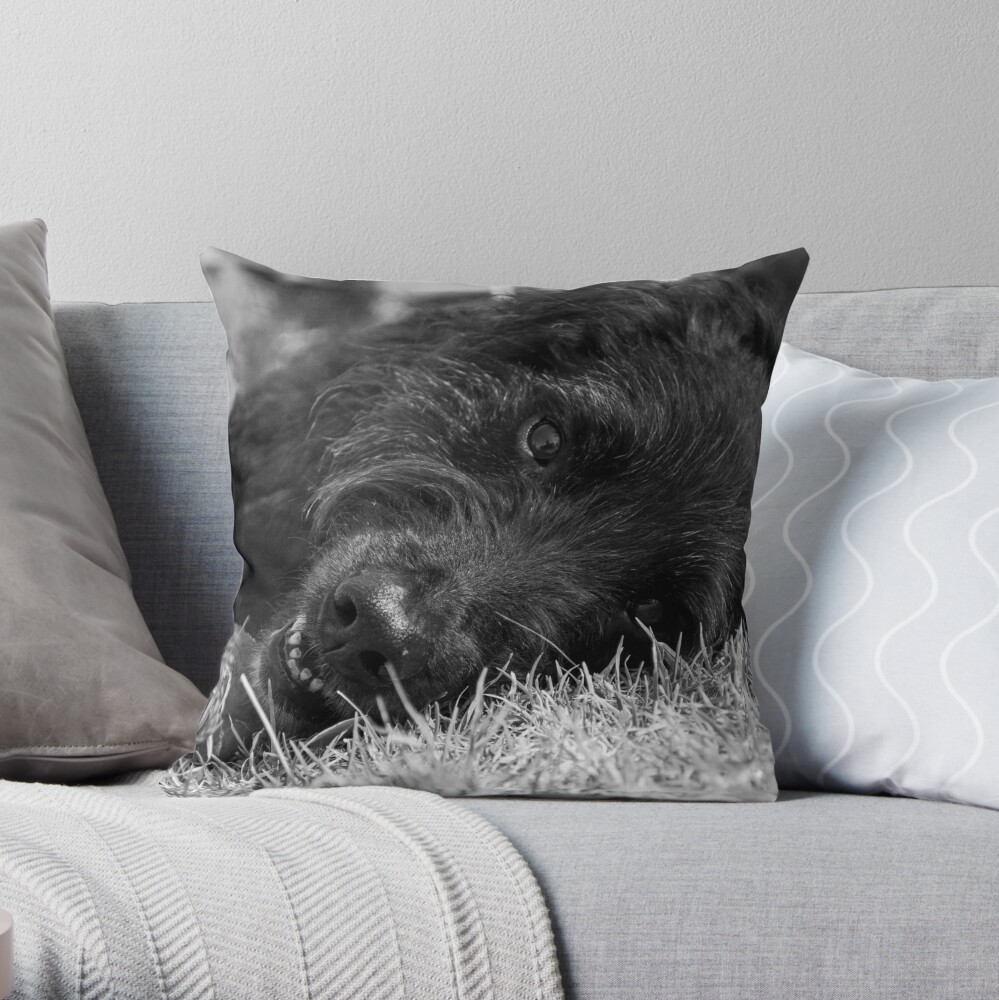 Gentle Soul Throw Pillow