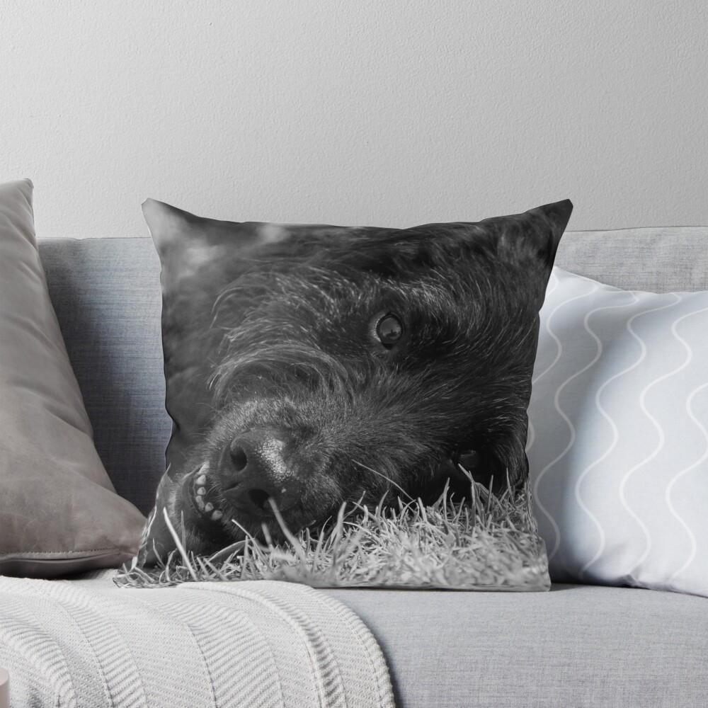 Item preview, Throw Pillow designed and sold by Tiffany.