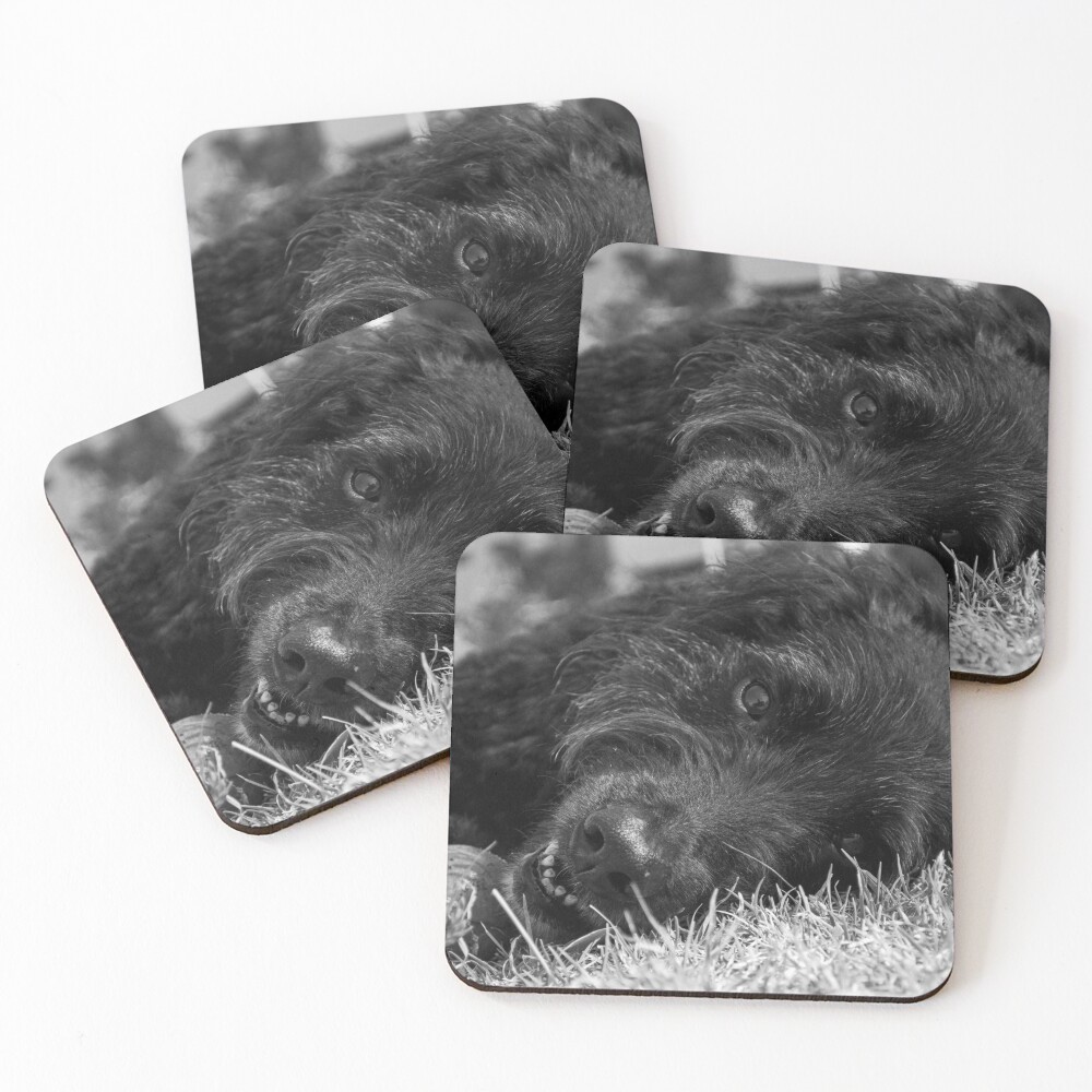 Item preview, Coasters (Set of 4) designed and sold by Tiffany.