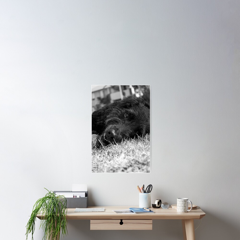 Gentle Soul Poster
