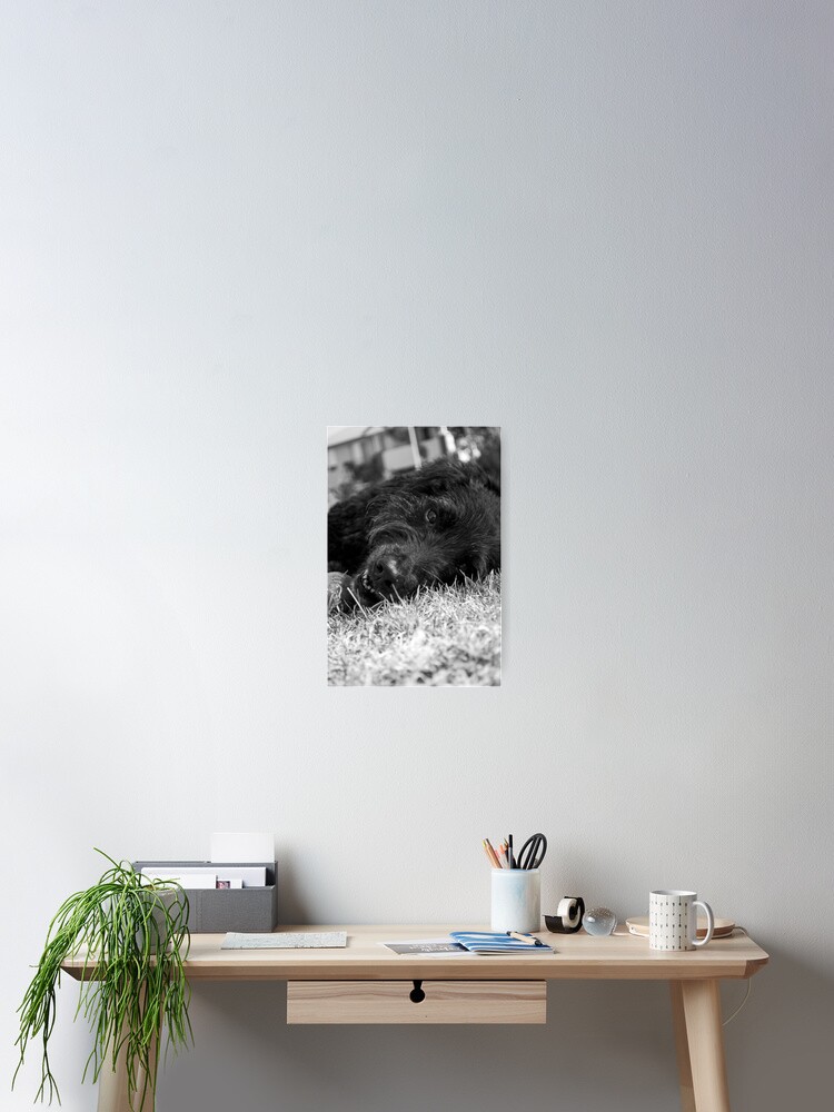 Thumbnail 2 of 3, Poster, Gentle Soul designed and sold by Tiffany.