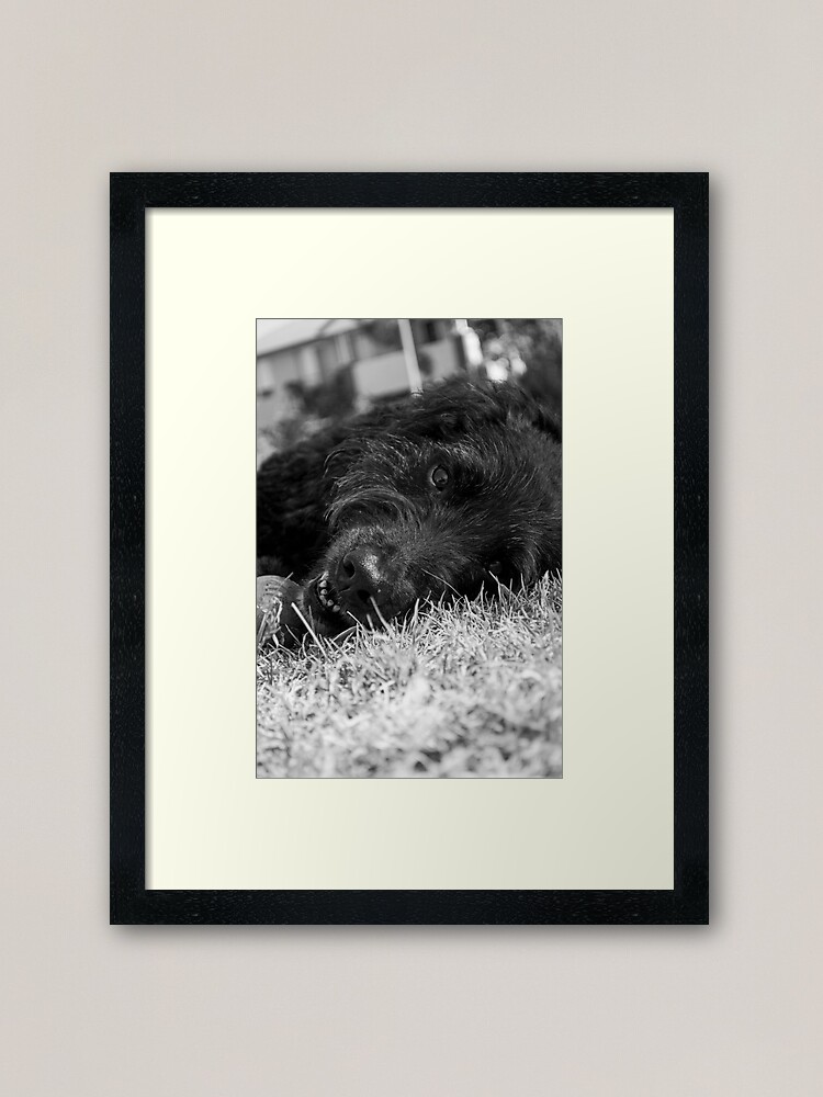 Alternate view of Gentle Soul Framed Art Print