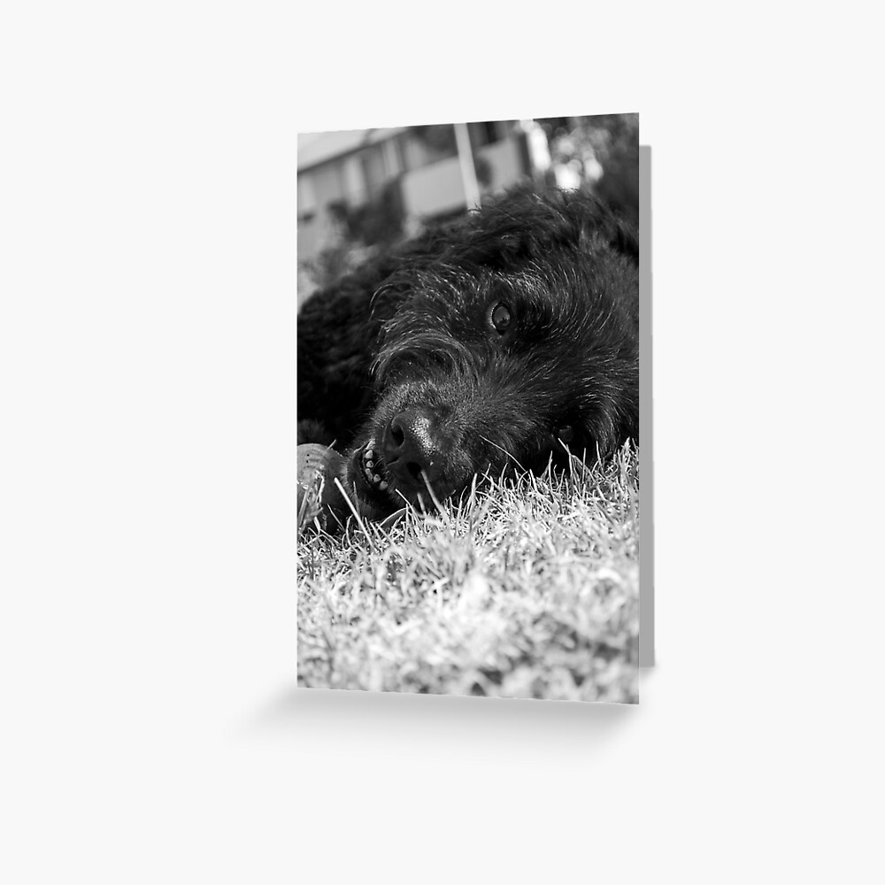Gentle Soul Greeting Card