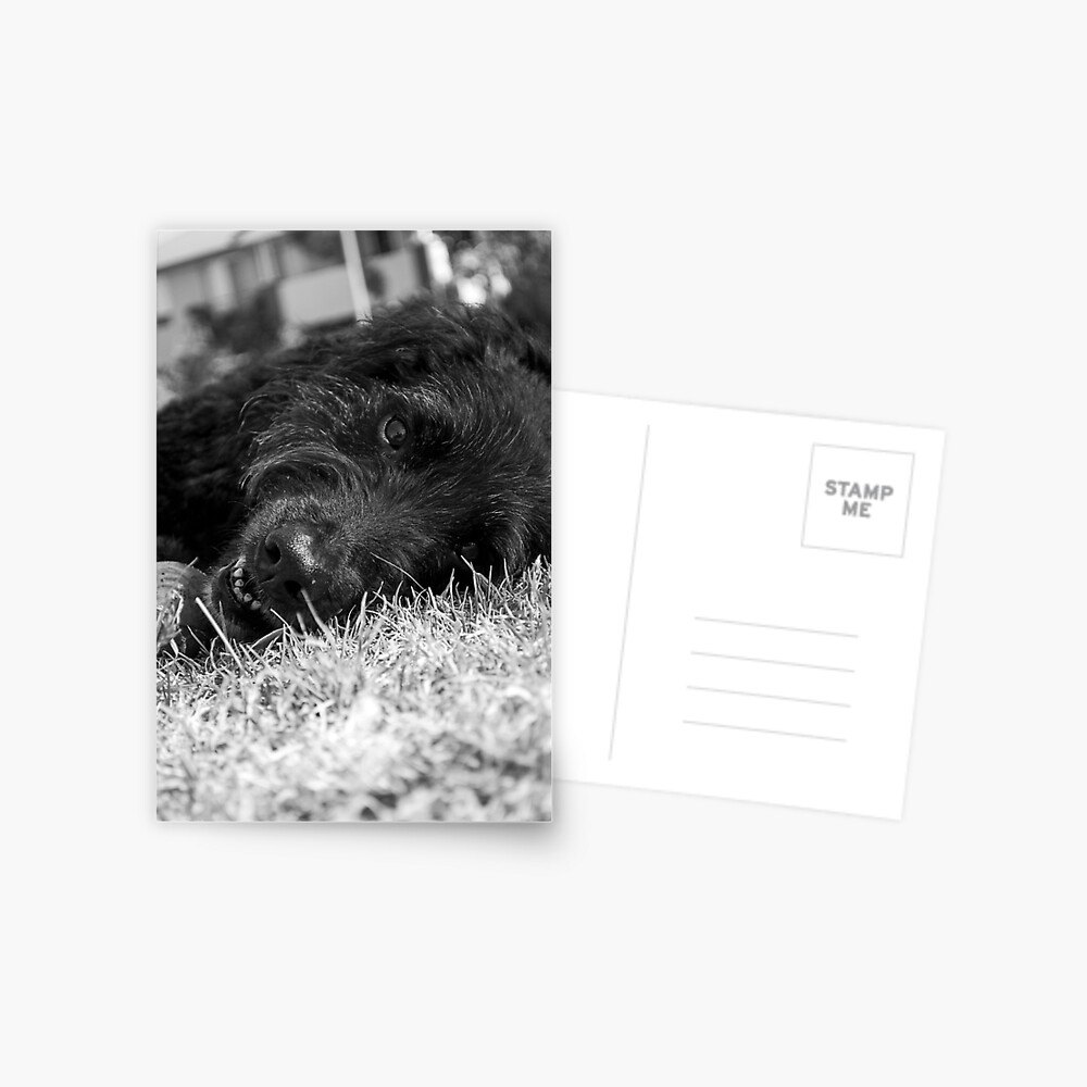 Item preview, Postcard designed and sold by Tiffany.