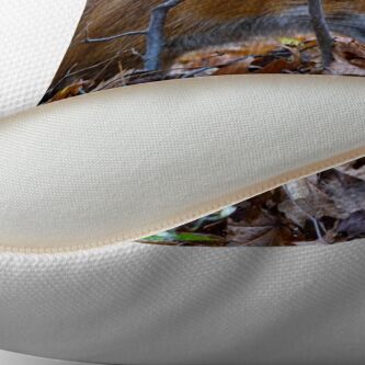 Alternate view of Friendly Fox Throw Pillow