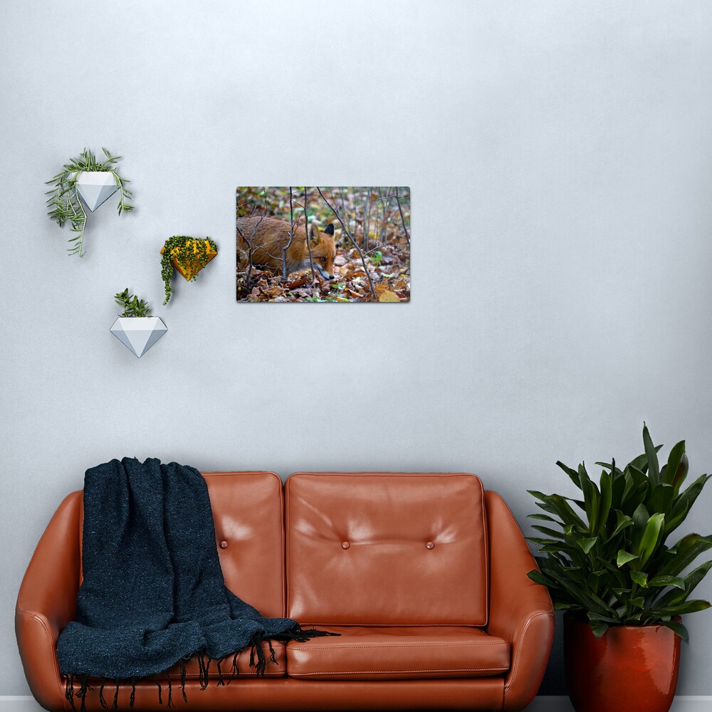 Friendly Fox Metal Print