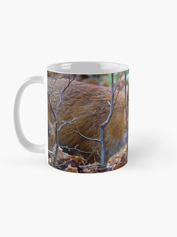 Alternate view of Friendly Fox Coffee Mug