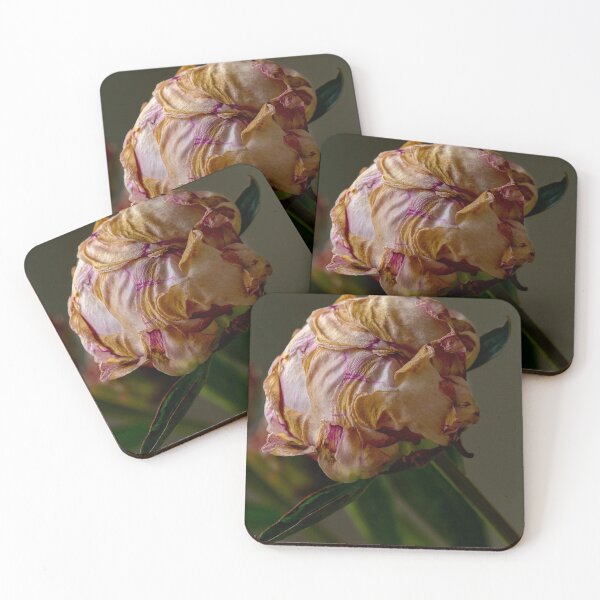 Item preview, peony designed and sold by bennettbeake.