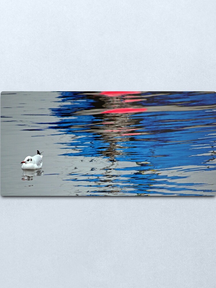 Alternate view of Gull with Reflections Metal Print