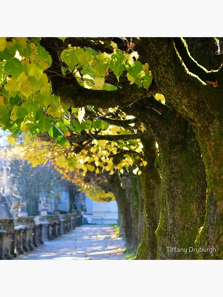 Autumn Sun, Salzburg by Tiffany