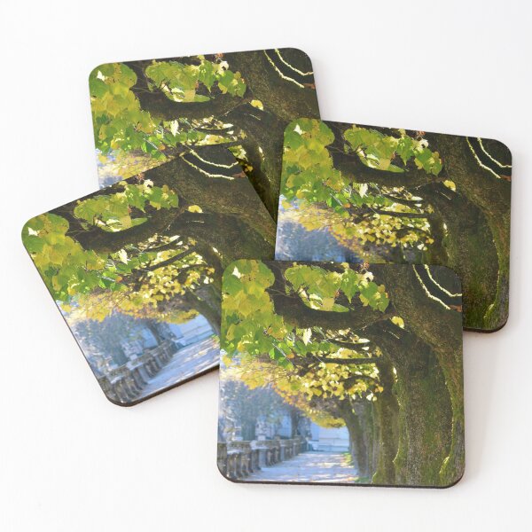 Item preview, Autumn Sun, Salzburgo designed and sold by Tiffany Dryburgh.