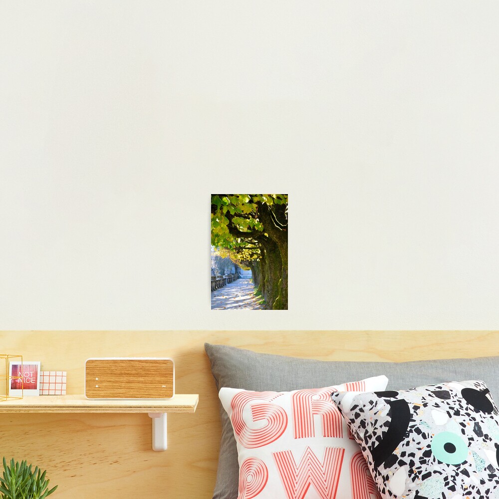 Autumn Sun, Salzburg Photographic Print