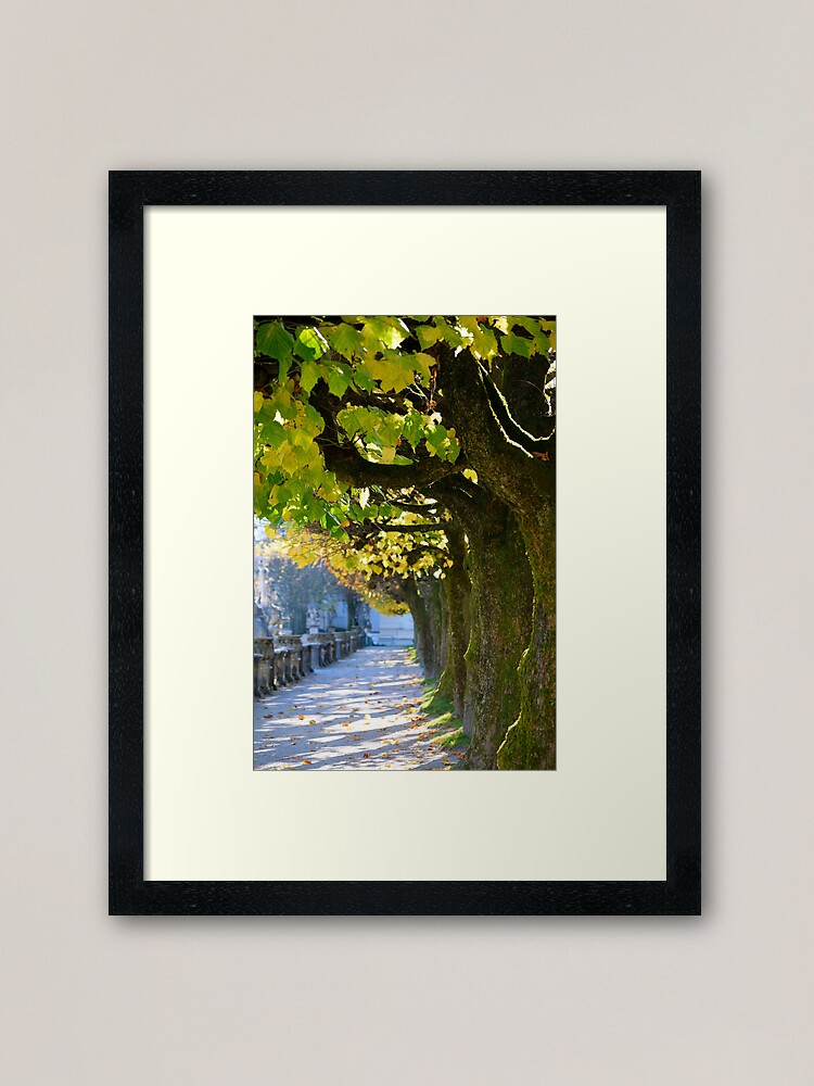 Alternate view of Autumn Sun, Salzburg Framed Art Print