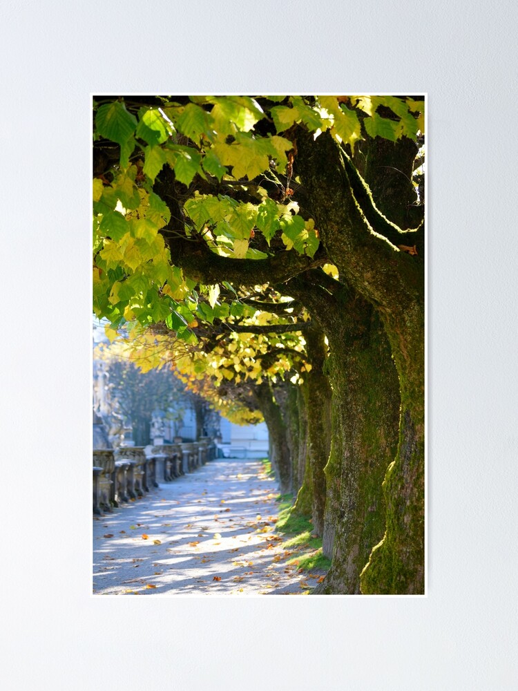 Alternate view of Autumn Sun, Salzburg Poster