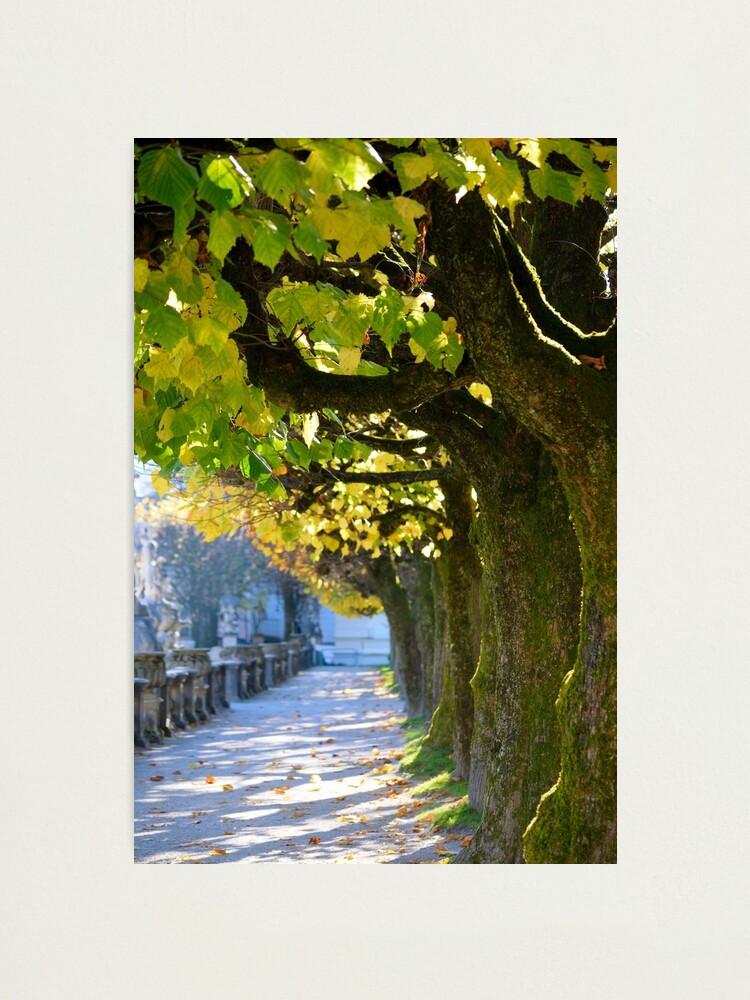 Alternate view of Autumn Sun, Salzburg Photographic Print