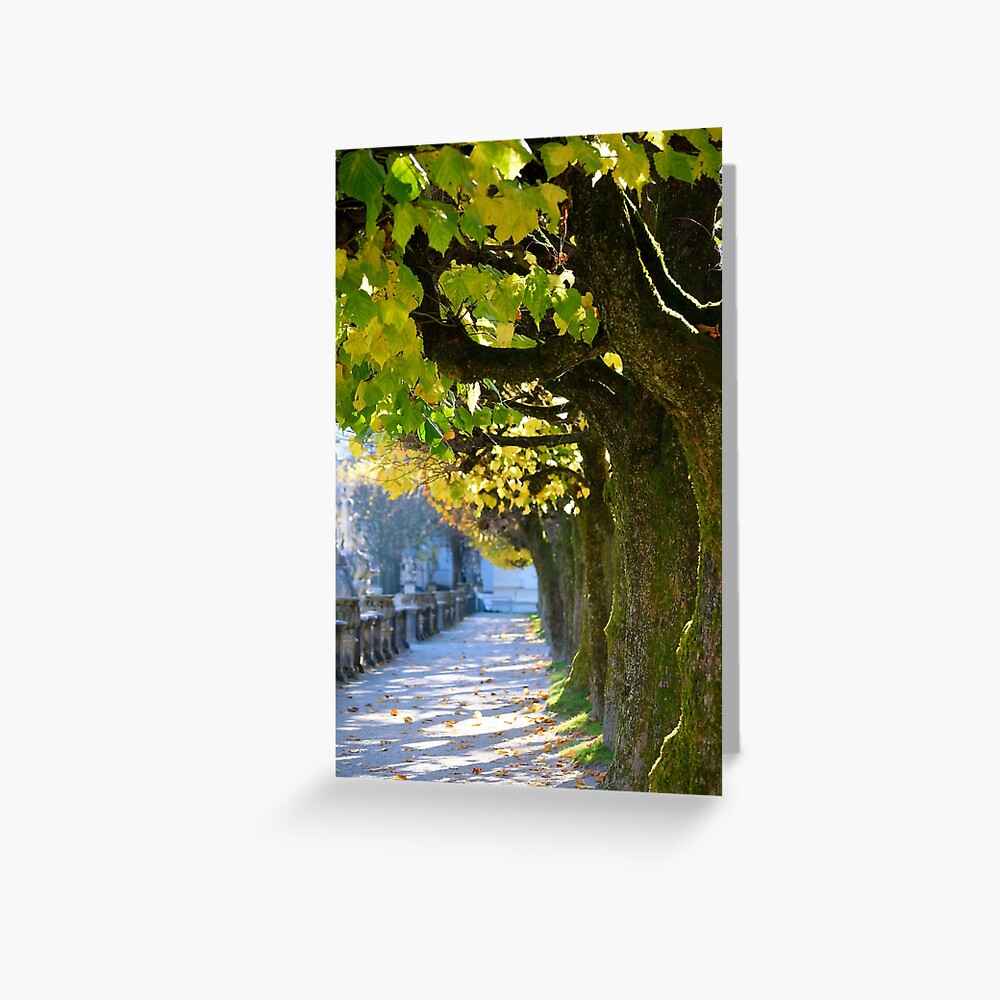 Autumn Sun, Salzburg Greeting Card
