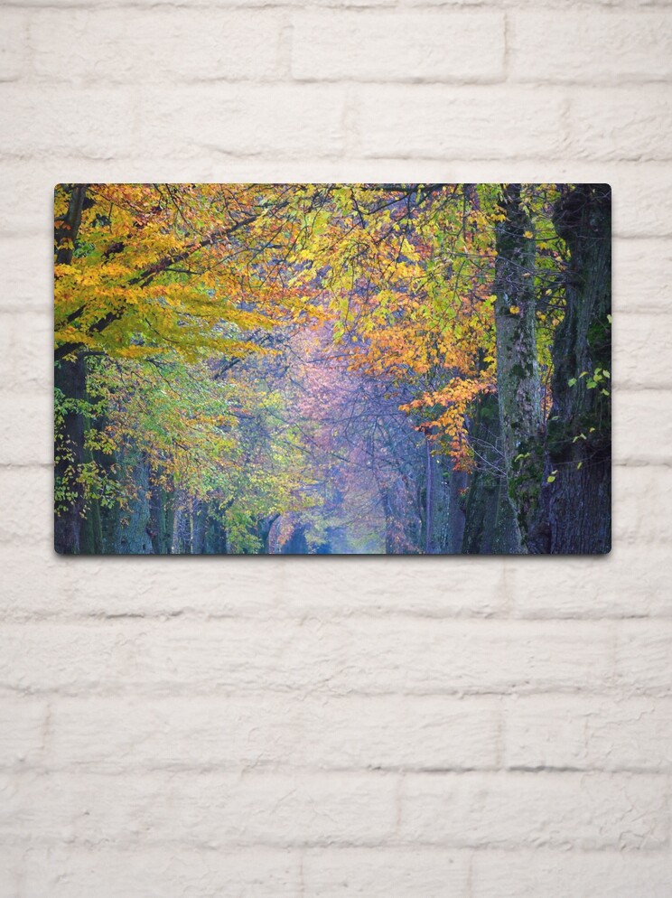 Thumbnail 2 of 4, Metal Print, Misty Autumn Leaves designed and sold by Tiffany Dryburgh.