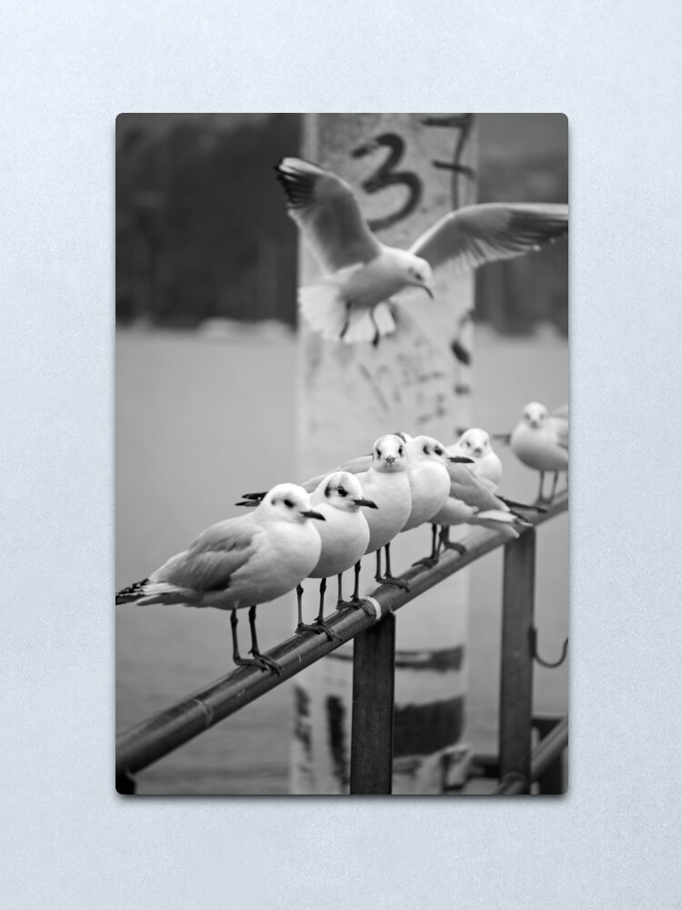 Alternate view of You Better Have Chips Metal Print
