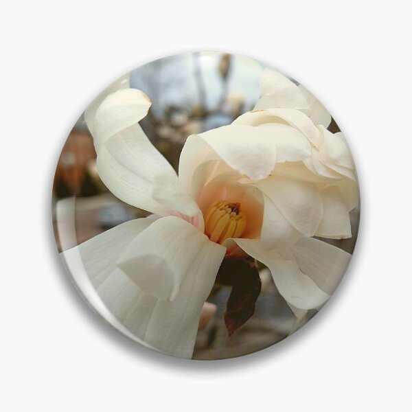Item preview, Bloom on a Yulan Magnolia designed and sold by Mothe3rd.