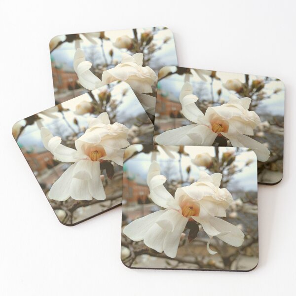 Item preview, Bloom on a Yulan Magnolia designed and sold by Mothe3rd.