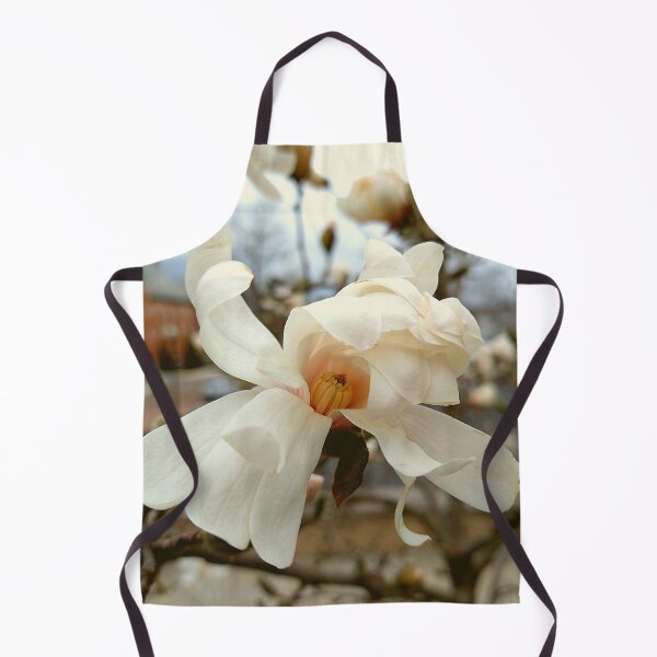Item preview, Bloom on a Yulan Magnolia designed and sold by Mothe3rd.