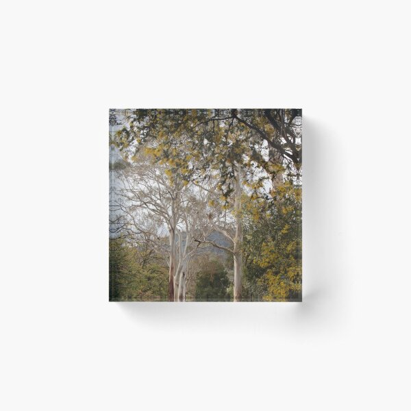 Item preview, Ghost Gums, Mt Macedon, Vic designed and sold by Susan Henry.