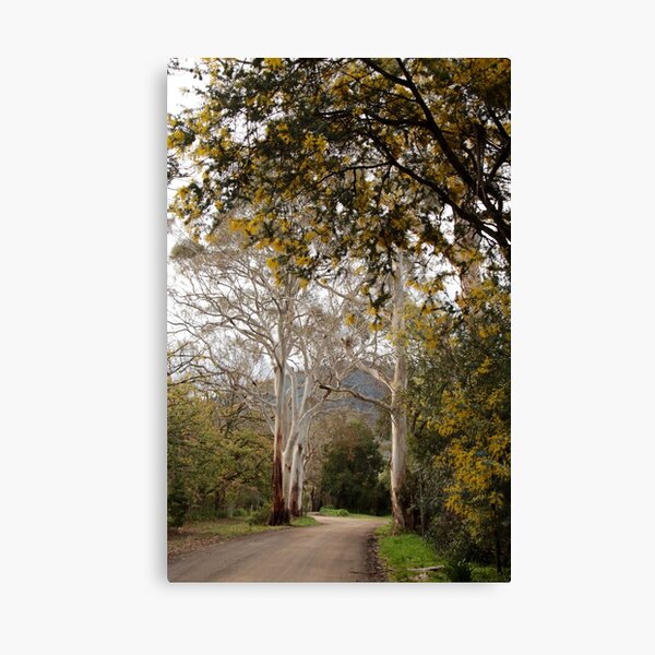 Item preview, Ghost Gums, Mt Macedon, Vic designed and sold by Susan Henry.