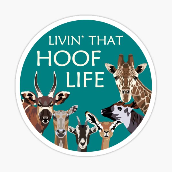 Livin' that hoof life Sticker