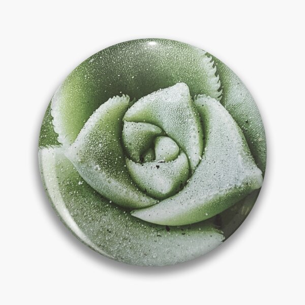 Item preview, Succulent  designed and sold by Daebak Cool.
