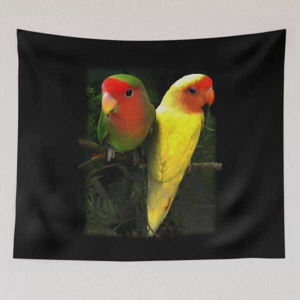 Item preview, Sick Parrot Duo designed and sold by alabca.