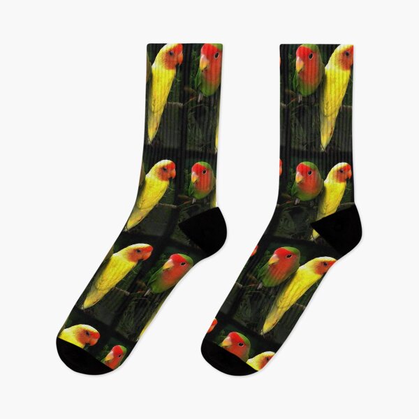 Item preview, Sick Parrot Duo designed and sold by alabca.
