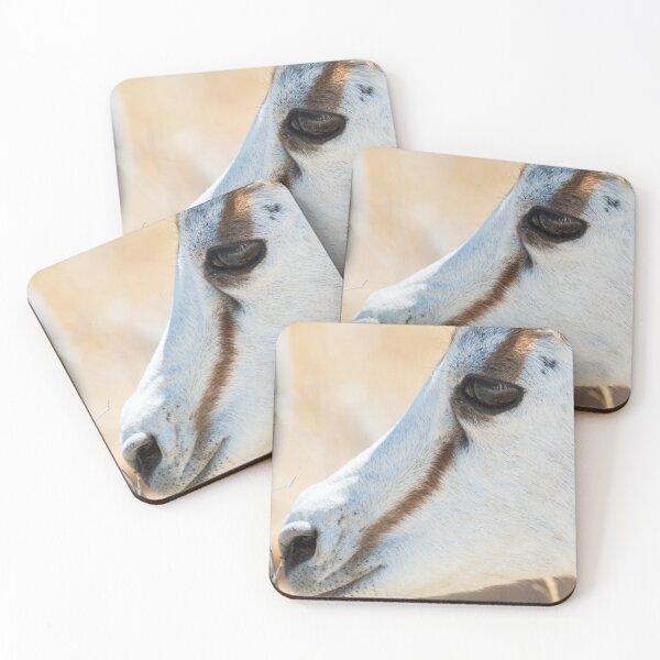 Item preview, Springbok Portrait - Etosha National Park, Namibia designed and sold by holgermader.