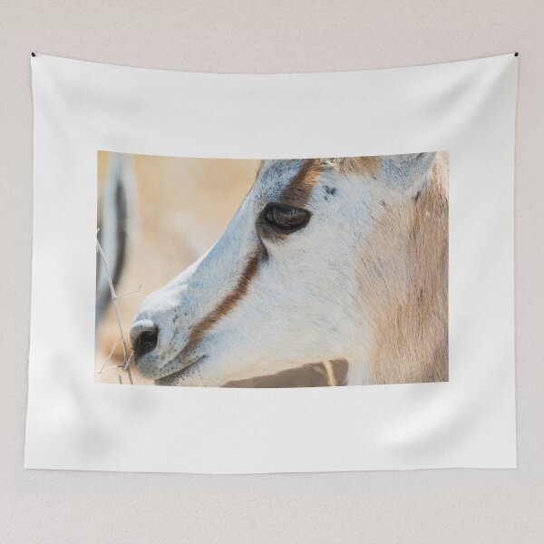Item preview, Springbok Portrait - Etosha National Park, Namibia designed and sold by holgermader.